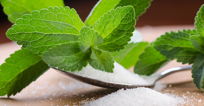 EU approves stevia produced via enzymatic conversion