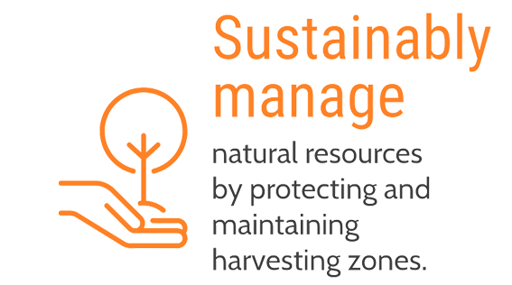 inavea™ finalist of the 2021 World Food Innovation Awards in the Sustainability category!