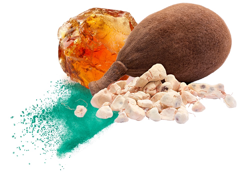 Nexira Launches inavea™ BAOBAB ACACIA, a premium prebiotic that balances the microflora and maintains gut comfort