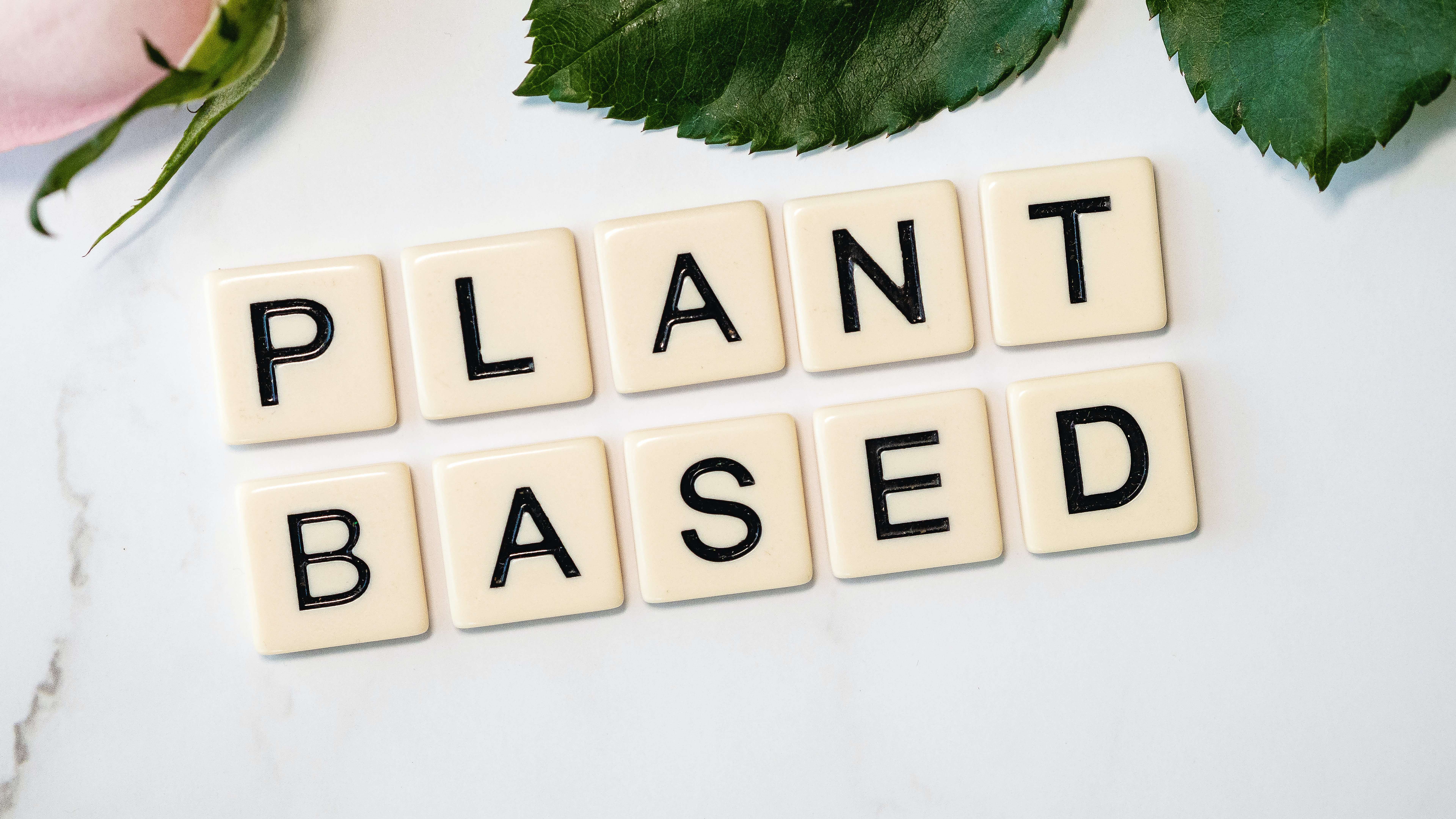 All-natural Ingredient Solutions For Successful Plant-Based Alternatives