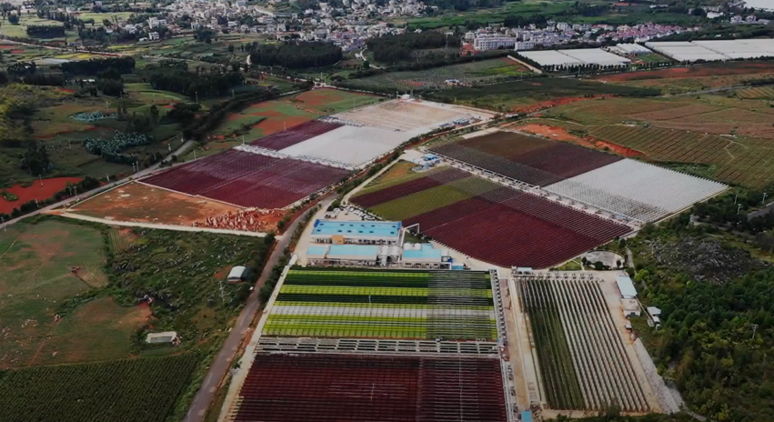 BGG World Announces Completion of Astaxanthin Capacity Expansion and now has the World’s Largest Astaxanthin Farm