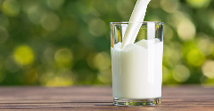 Dairy-backed cell-cultured incubator chooses 4 alt-milk start-ups