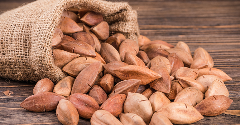 High-fat diets fuel interest in pili nuts