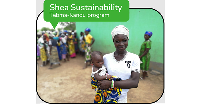 Tebma-Kandu: Fuji Oil’s ambitious Shea Sustainability Program