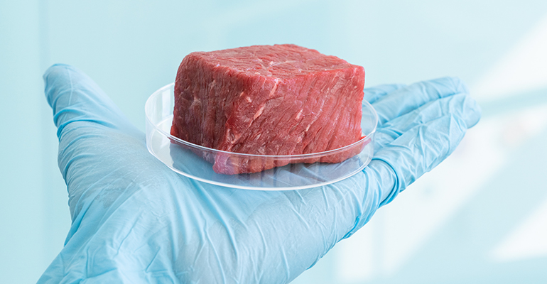 Plant-based whole cuts: The next-evolution of meat analogues