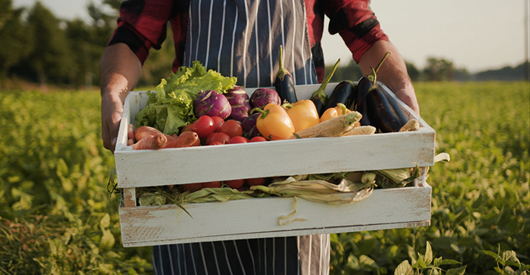 Opportunities in organic as UK consumers buy local, online & ‘box schemes’