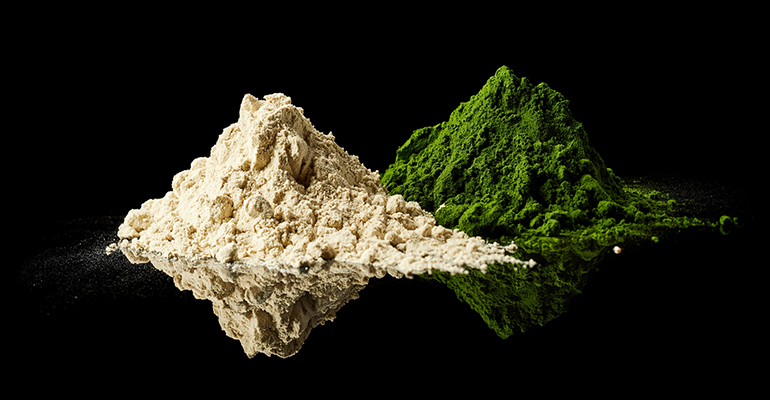 Algae strain Chlorella appeals to environmental ingredient demands