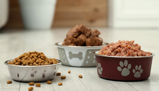 Functional pet food ingredients on the rise as health-minded owners seek nutritional benefits for furry friends