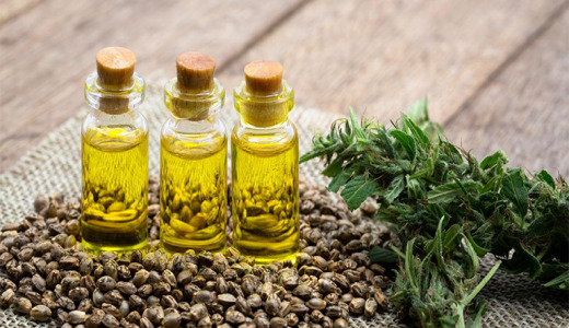 EFSA stalls CBD novel food evaluation citing ‘several hazards’