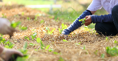 Oman authorities put food security and sustainability centre stage with ‘transformative’ investments