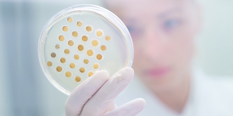 Can it be determined on the basis of laboratory analysis if something is a viral or bacterial infection?