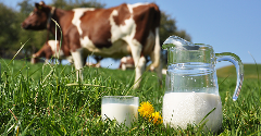 Strategic priorities: US dairy executives focus on growth, resilience, and sustainability in 2023