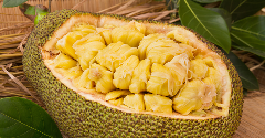 Singapore startup uses jack fruit and banana blossom for plant-based products