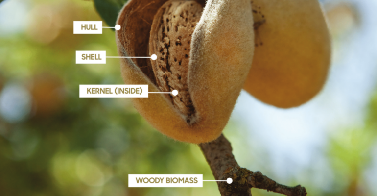 How a new use for almond co-products is helping tackle food waste