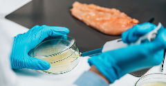USDA progresses project to assess ‘raised with antibiotics’ market