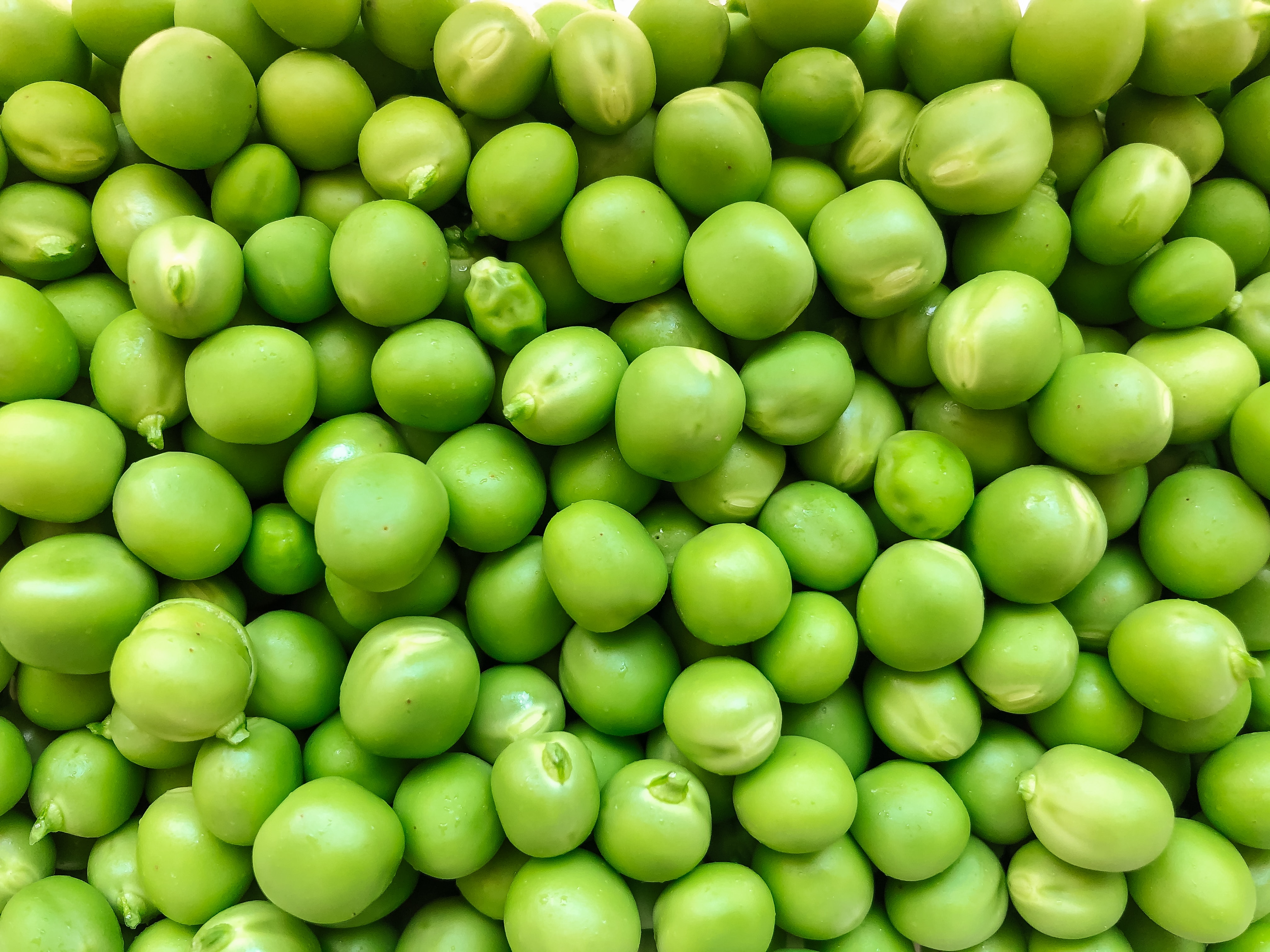 Pea Protein: Natural Power for High-Quality Meat Substitute Products