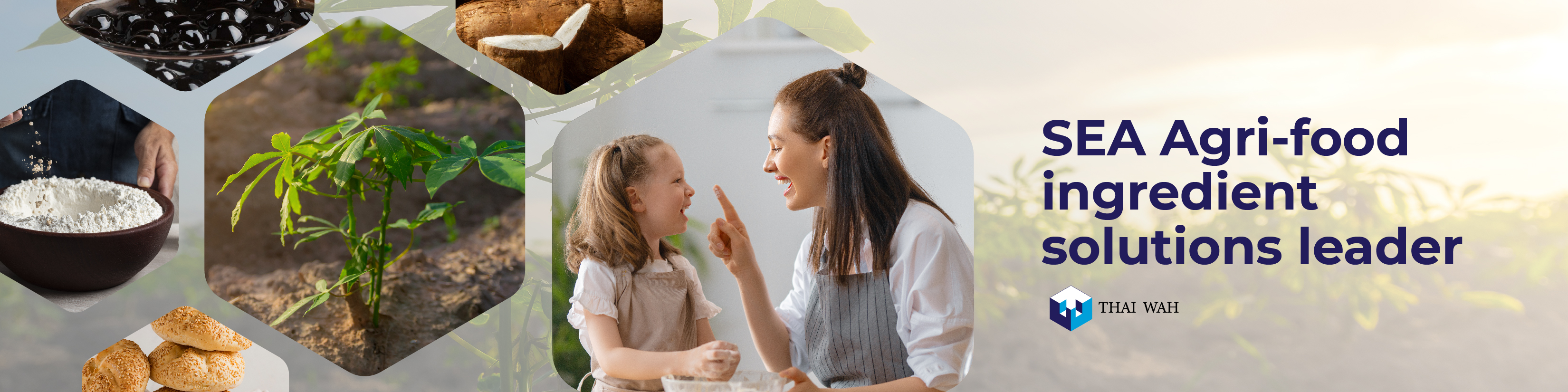 ROSE BRAND in various applications under 3 product platforms: Clean label, Healthy and functional starch solution.