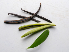 Price volatility and climate change continue to impact vanilla agriculture, suppliers warn