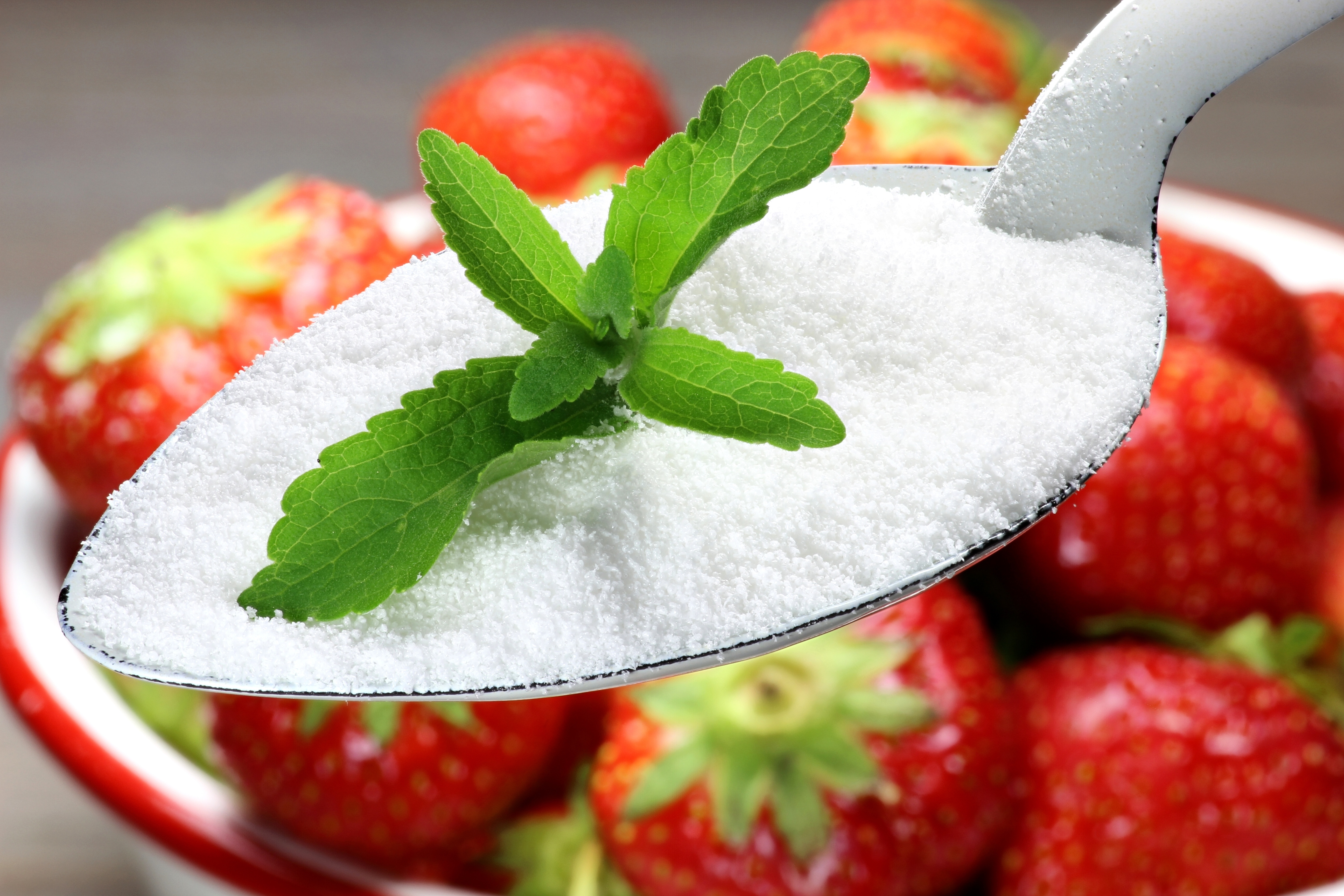 Sugar reduction without compromise: Formulations with flavour-neutral stevia