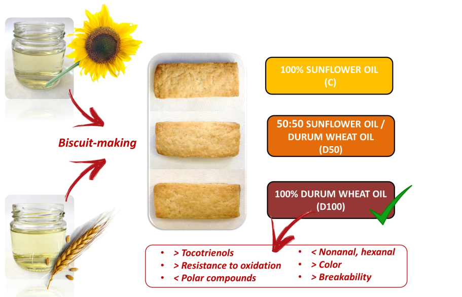 Durum wheat germ oil, improved oxidative stability compared to sunflower oil