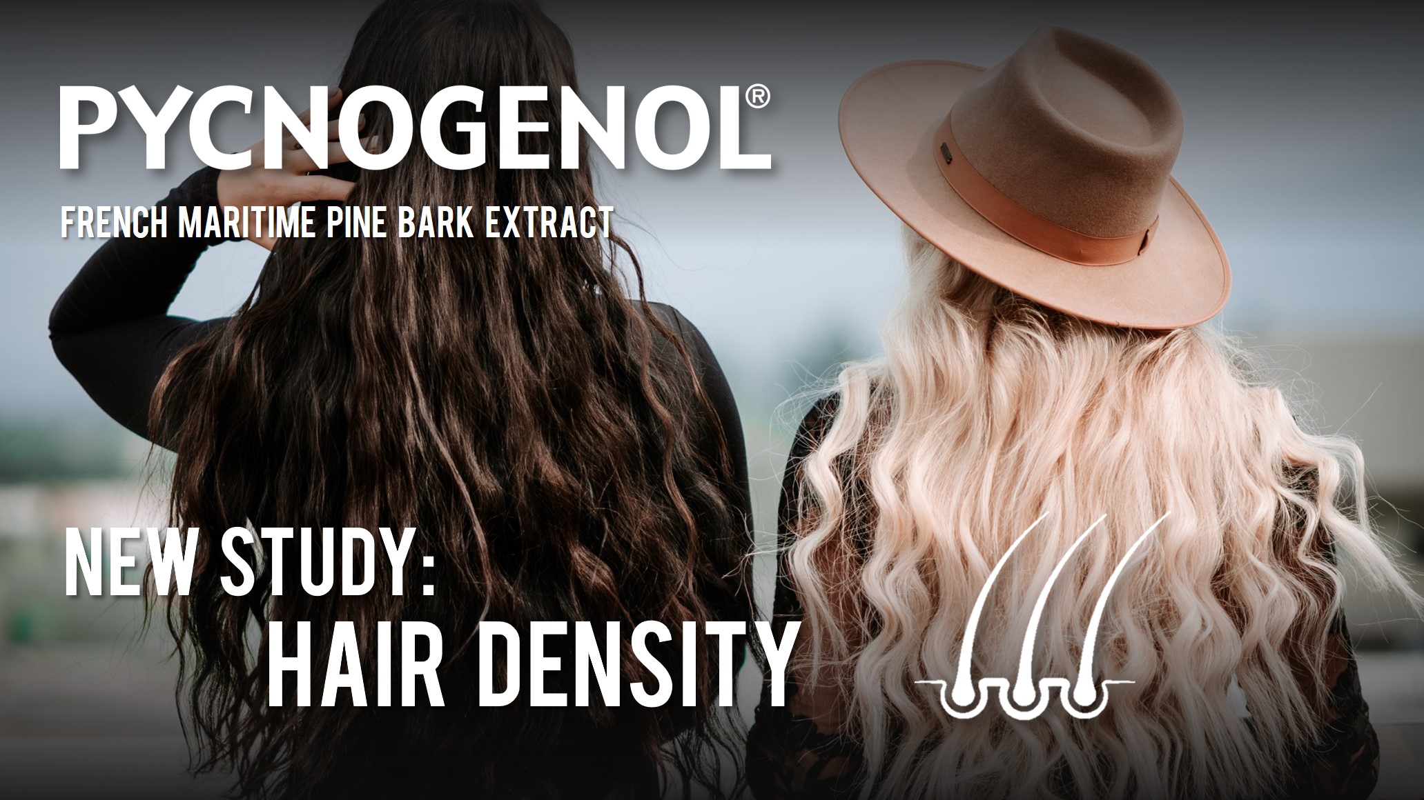 Study: Pycnogenol® Shown to Improve Hair Density in Menopausal Women