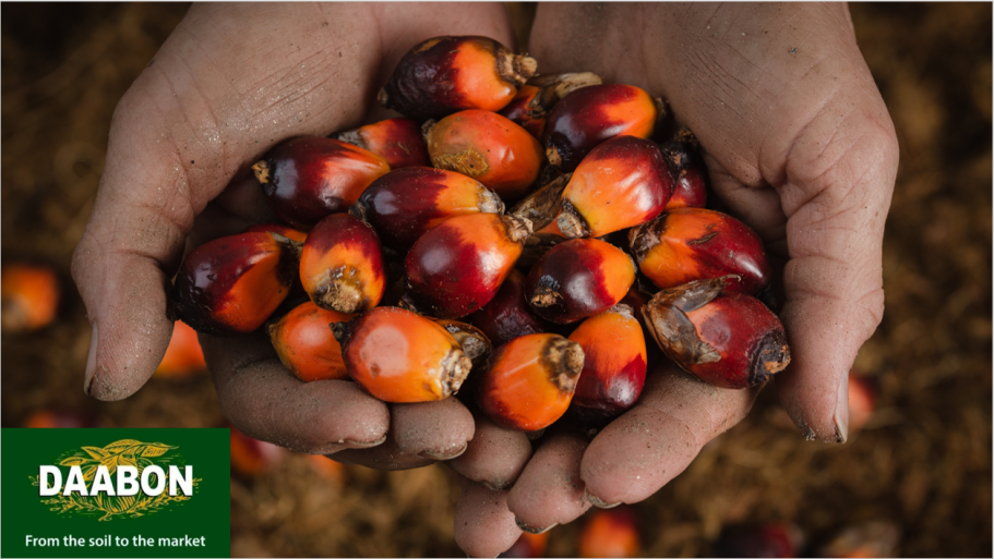 Daabon Group, #1 in the world in the ranking of sustainable palm oil companies