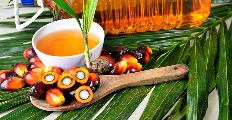 Big brands invest in precision fermentation-derived palm oil