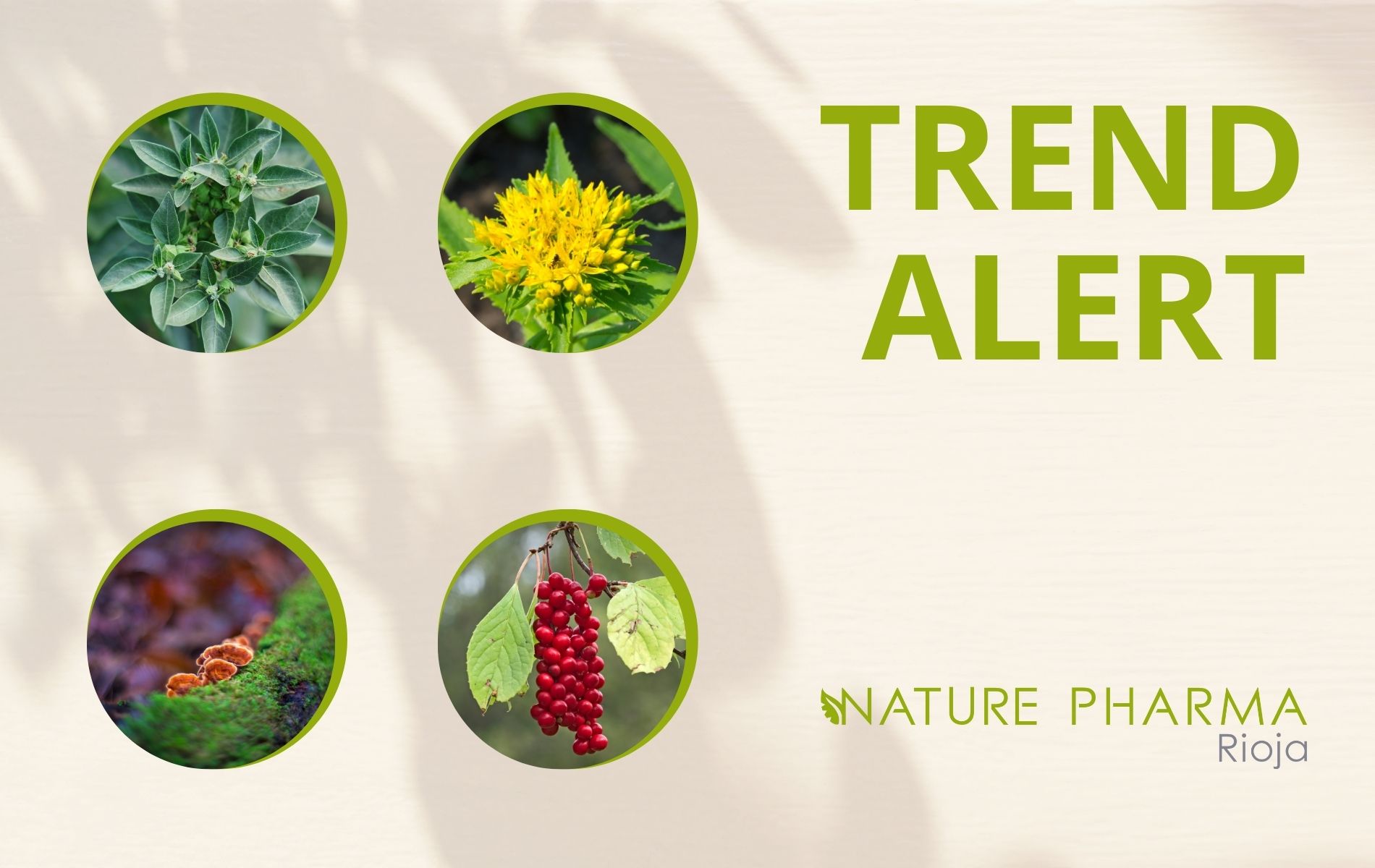 Trend alert: dietary supplements with adaptogenic ingredients