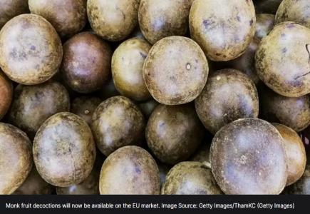Monk Fruit 'no longer novel' in EU