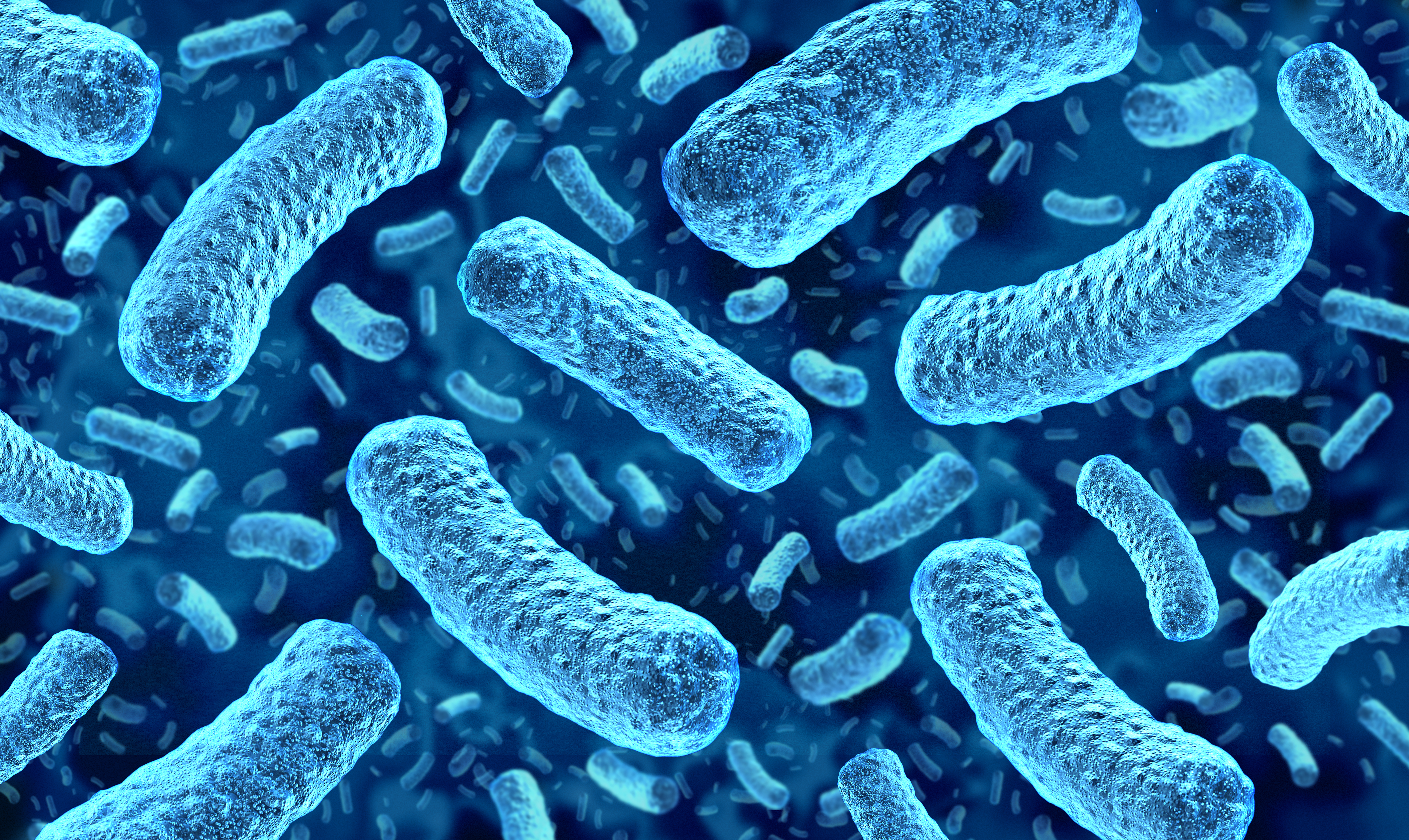 Danish Lyras' Raslysation protects consumers from deadly Listeria