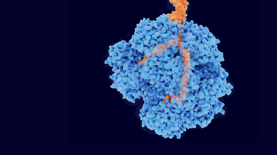 Novozymes invests in UV technology from Danish Lyras