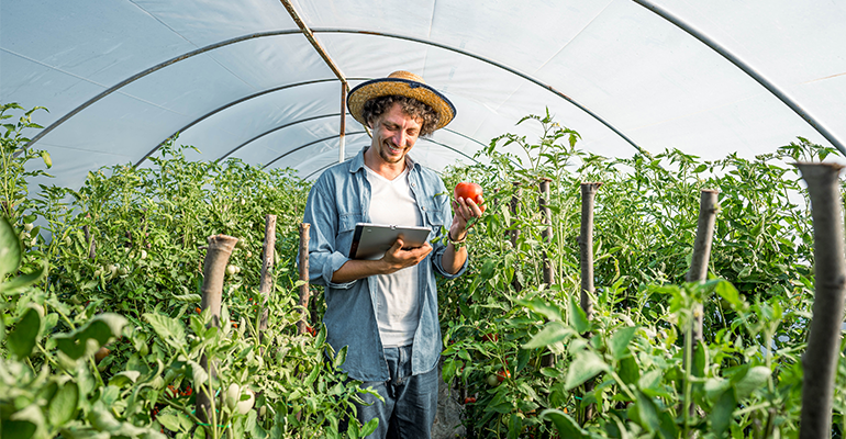 VC backing for foodtech startups slumps but ‘new ingredients’ attract interest