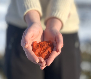 Zooca® Calanus® Oil Supports Heart and Metabolic Health in New Clinical Study