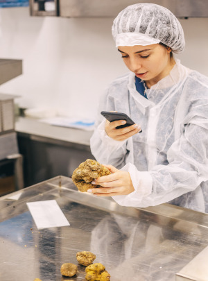[Case Study] 20% Faster NPD Achieved with Consistent, Heat-Stable Truffle Ingredient