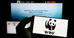 Soy story: WWF scores UK supermarkets on sustainability efforts