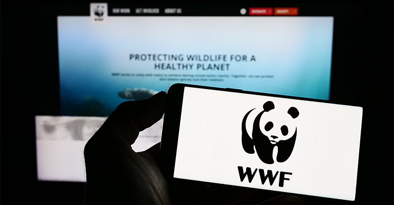 Soy story: WWF scores UK supermarkets on sustainability efforts