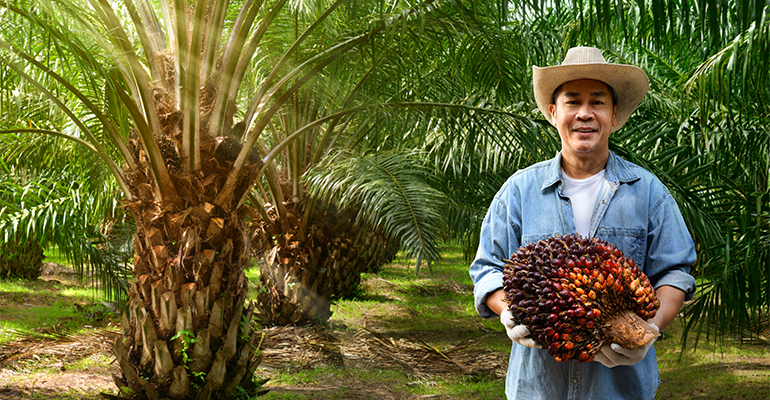 Malaysian Palm Oil Council calls for a fair and consistent EUDR