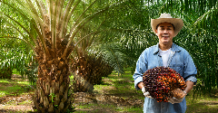 Malaysian Palm Oil Council calls for a fair and consistent EUDR