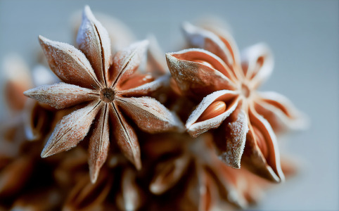 dsm-firmenich names ‘Frosted Star Anise’ as Flavor of the Year 2026, capturing a global desire for warmth and freshness