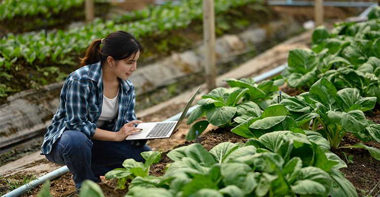 Digital platform can help optimise the protein quality of plant-based meals