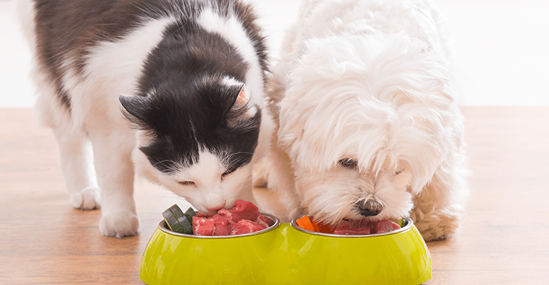 Market for natural pet food purring as owners spend big