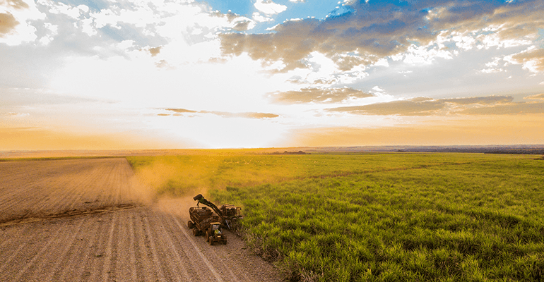 Bonsucro strengthens its Chain of Custody Standard