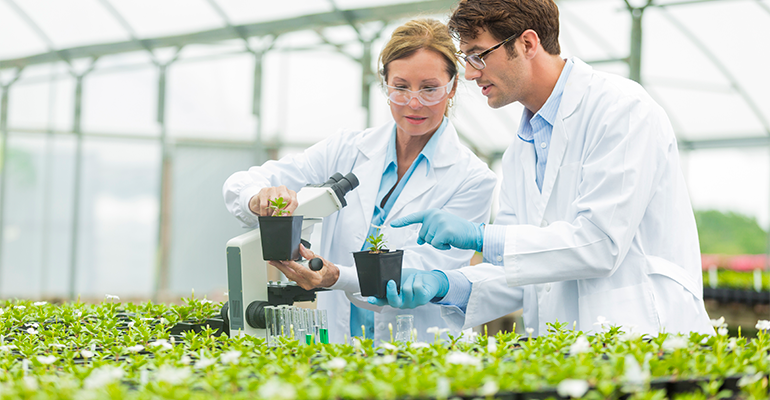 EU pushes ahead on ‘more innovative plant breeding’
