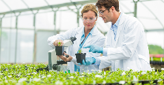 EU pushes ahead on ‘more innovative plant breeding’