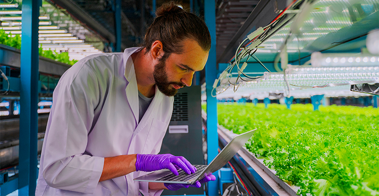 Digital energy management will fuel food production in 2026