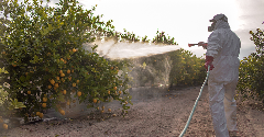 Europe to tighten import controls for pesticides