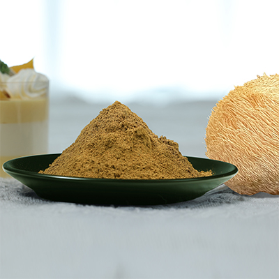 Organic Lion’s Mane Dual Extract (Freeze-Dried)