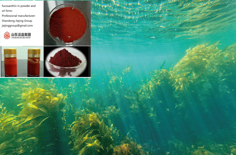 FucoThin® fucoxanthin
