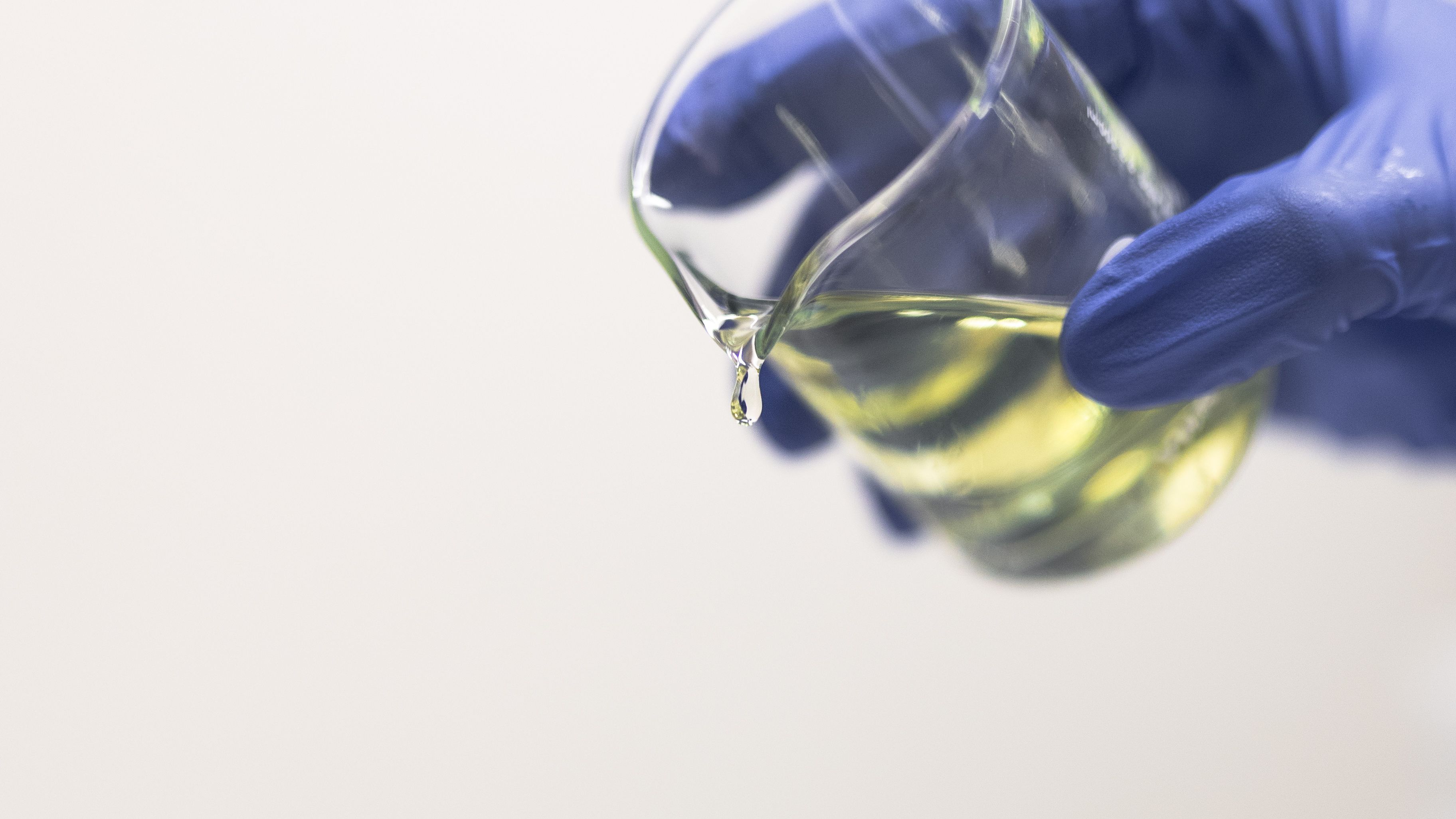 CETO3® Omega-11 has strong anti-inflammatory effects and reduces LDL cholesterol