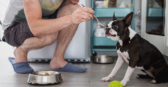 Wild possum protein enters the US pet food market